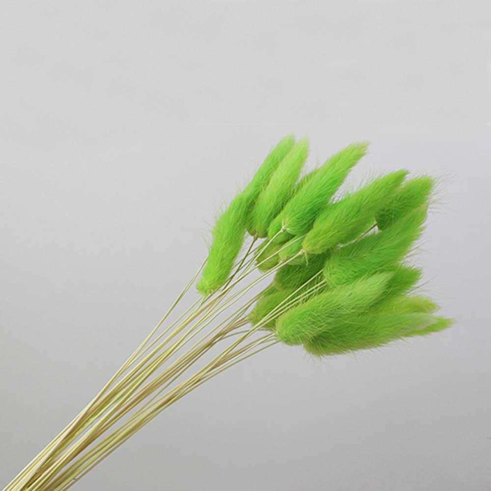 50pcs dried natural flower bou - Dried Flower Bunch recension och pris