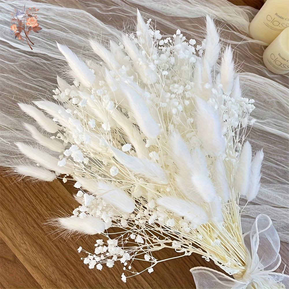 54Pcs White Dried Flower Brida - Dried Flower Bunch recension och pris