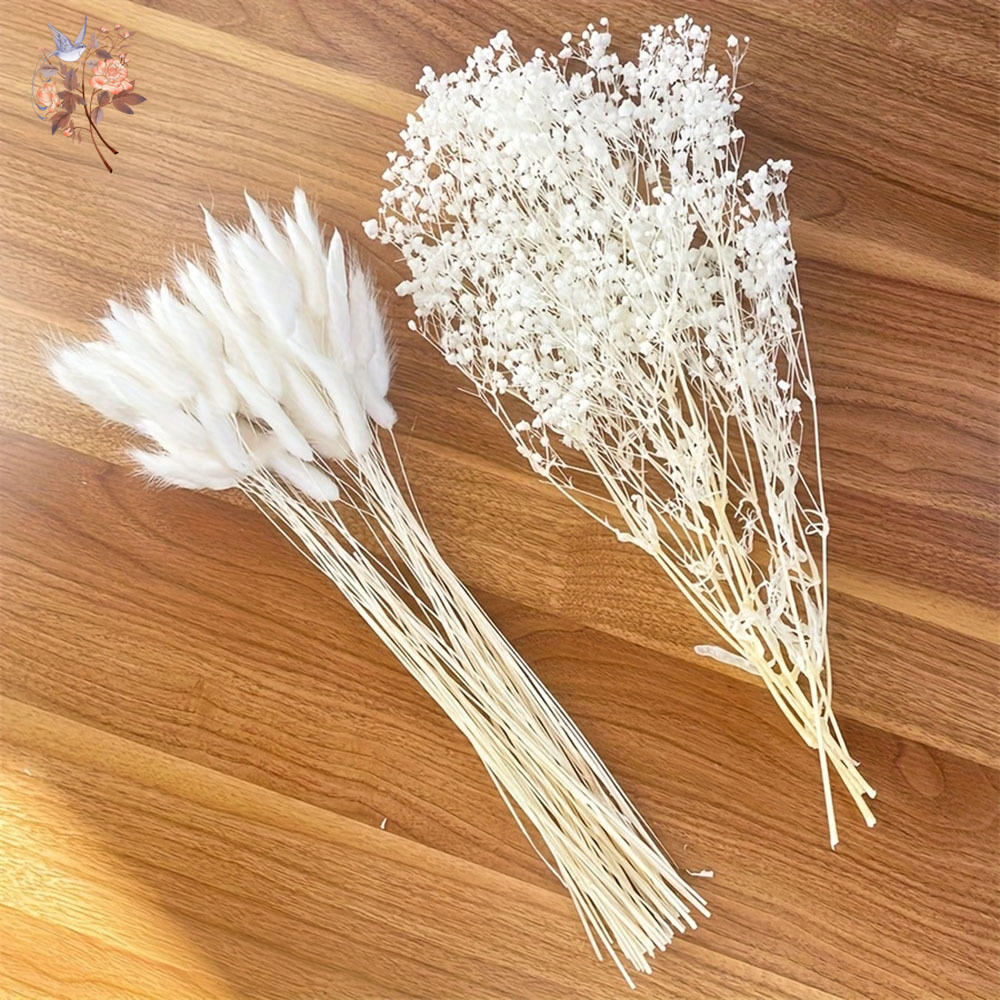 54Pcs White Dried Flower Brida - Dried Flower Bunch recension och pris