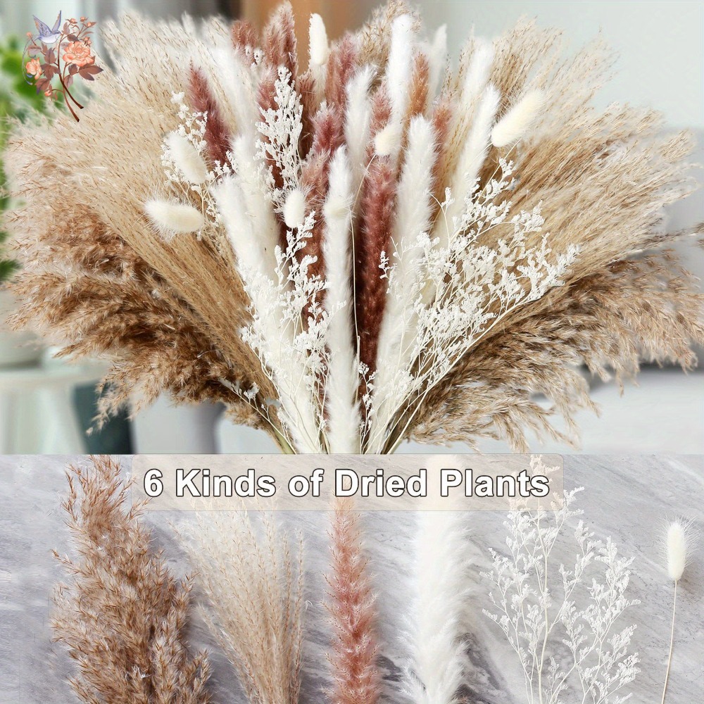 Natural Dried Flower Pampas Gr - Dried Flower Bunch recension och pris