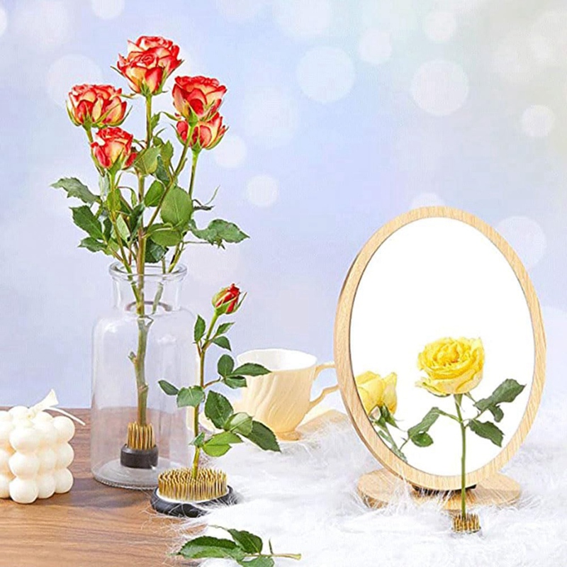 Hot 12PCS Flower Frog, Kenzan  - Flower Frog Pin recension och pris