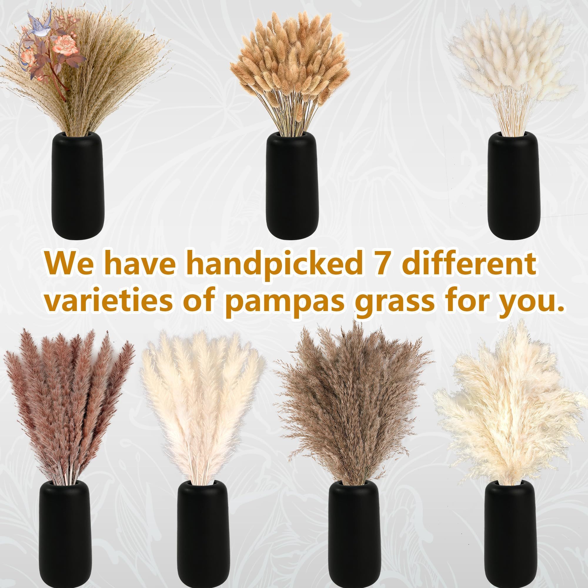 300Pcs Natural Large Pampas Gr - Dried Flower Bunch recension och pris