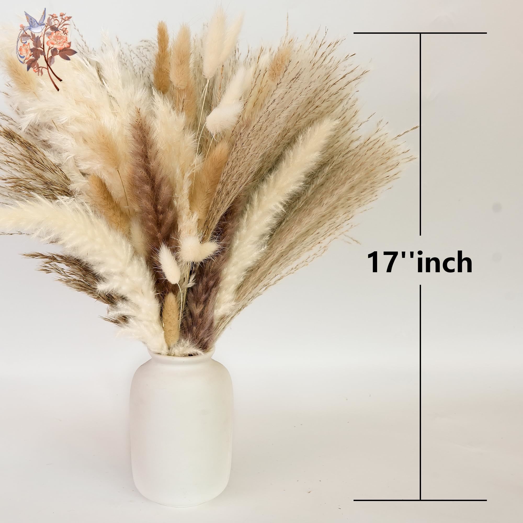 300Pcs Natural Large Pampas Gr - Dried Flower Bunch recension och pris