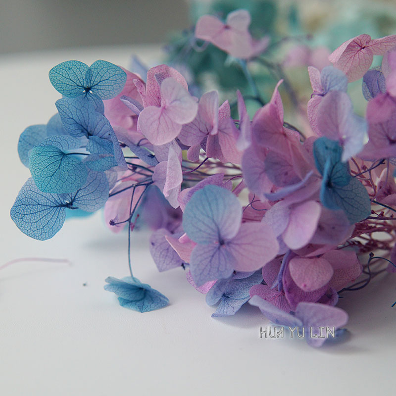 Ombre Gradient Dried Preserved - Dried Flower Bunch recension och pris